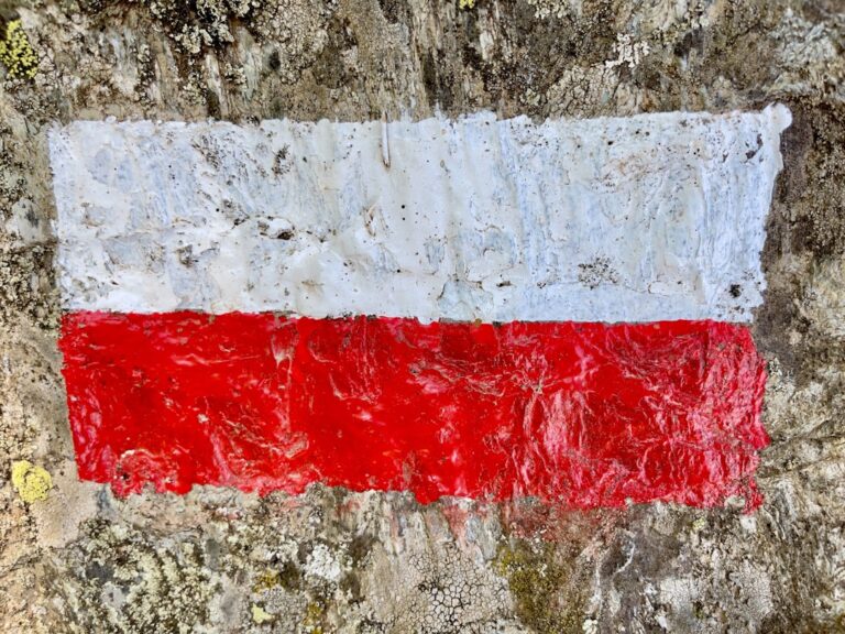 Jakie są najlepsi sportowcy w historii polskiego sportu?